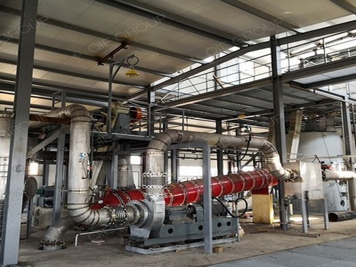 automatic canola seed screw oil press production line