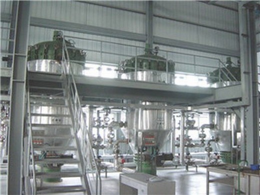 palm kernel oil extraction production process and profit