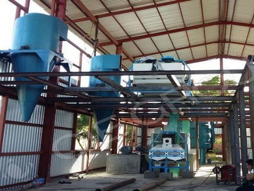 china automatic mustard oil press machine, automatic