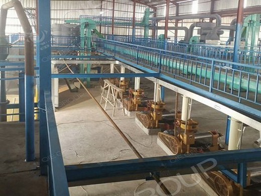 prominent edible oil press machinery, oil production planf