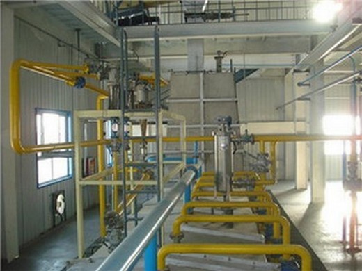 seeds oil extraction mini machine in pakistan – edible oil