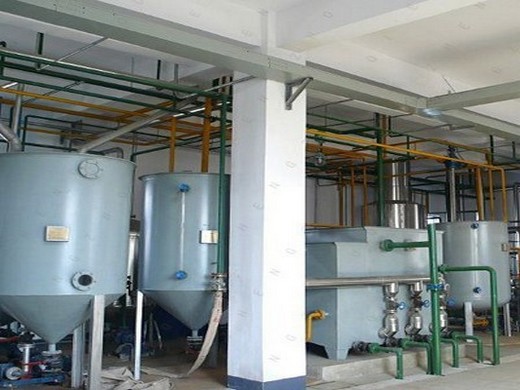 sesame cocoa hydraulic oil extraction processing