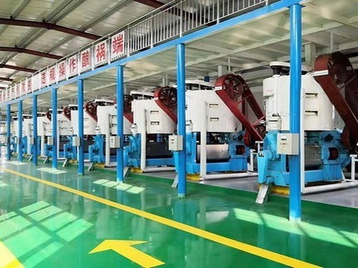 2024 hot sale automatic pepper seed oil production line