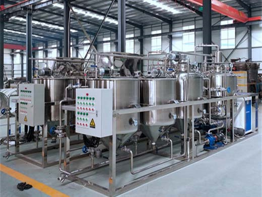 the most popular palm kernel oil refining – palm oil factory process