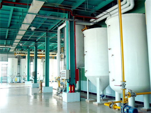 vegetable oil refining process equipment supplier in egypt